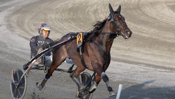 Foto: ANDERS KONGSRUD/HESTEGUIDEN.