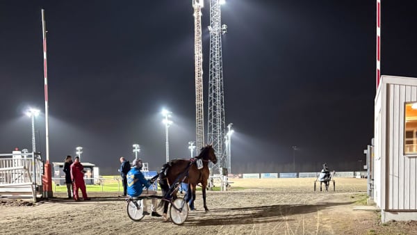 Foto: Linus Eriksson/TR Bild.