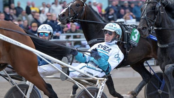 Foto: LARS JAKOBSSON / TR BILD