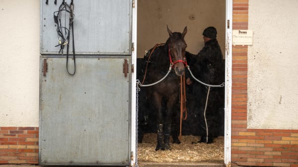 Foto: THOMAS BLOMQVIST / TR BILD