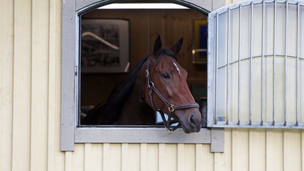 Foto: MATILDA ÖHRMAN / TR BILD