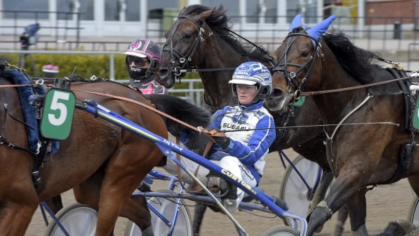 Foto: LARS JAKOBSSON / TR BILD