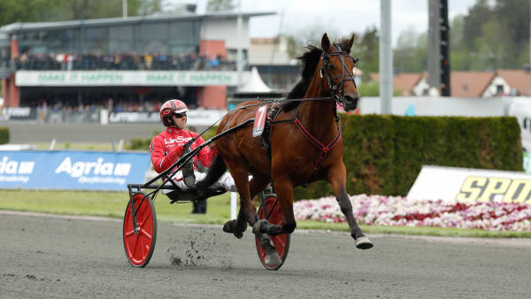 Foto: LENA EMMOTH / TR BILD