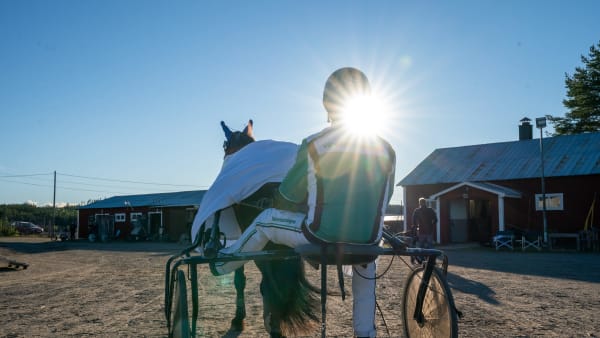 Foto: THOMAS BLOMQVIST / TR BILD