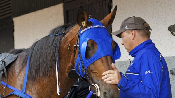 Foto: Jean-Luc Lamaère-LeTROT