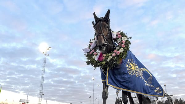 Foto: LARS JAKOBSSON / TR BILD