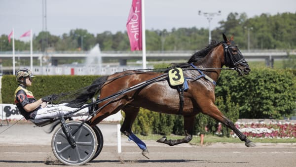 Foto: LENA EMMOTH / TR BILD
