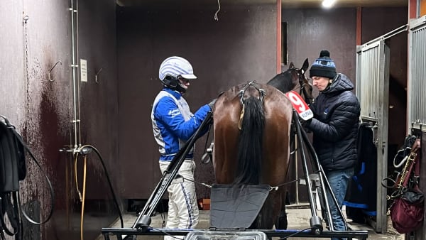 Foto: Richard Hjellström, TR BILD