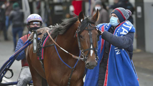 Foto: Jean-Luc Lamaère/LeTrot