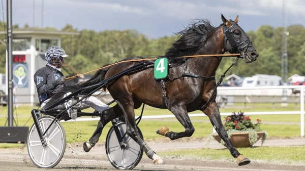 Foto: LENA EMMOTH / TR BILD