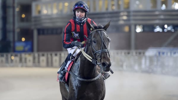 Foto: LARS JAKOBSSON / TR BILD