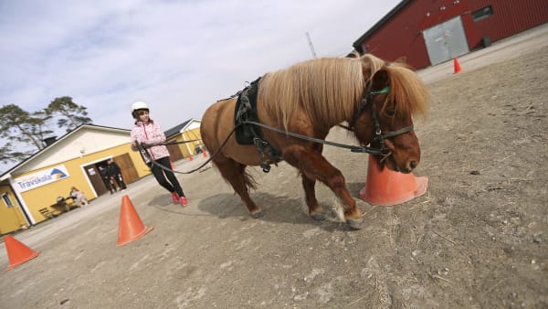 Foto: MARIA HOLMÉN / TR BILD