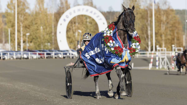 Foto: LENA EMMOTH/TR BILD