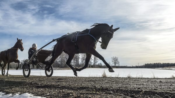 Foto: LARS JAKOBSSON / TR BILD