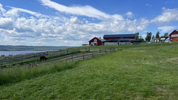 Foto: JOSEFIN JOHANSSON/TR BILD