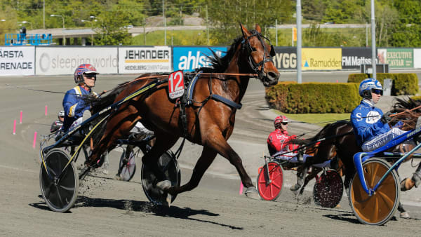 Foto: LENA EMMOTH/TR BILD