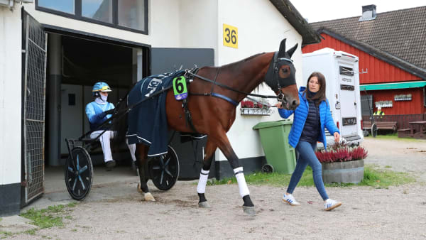 Foto: MARIA HOLMÉN / TR BILD