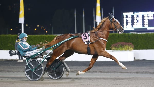 Foto: MARIA HOLMÉN / TR BILD