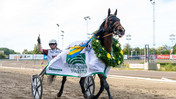 Ny start för Daim Brodda · Senaste nyheterna om trav · Travronden
