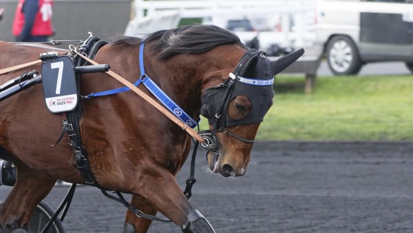 Foto: JEAN-LUC LAMAÈRE/TR BILD