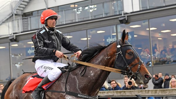 Foto: MALIN ALBINSSON / TR BILD