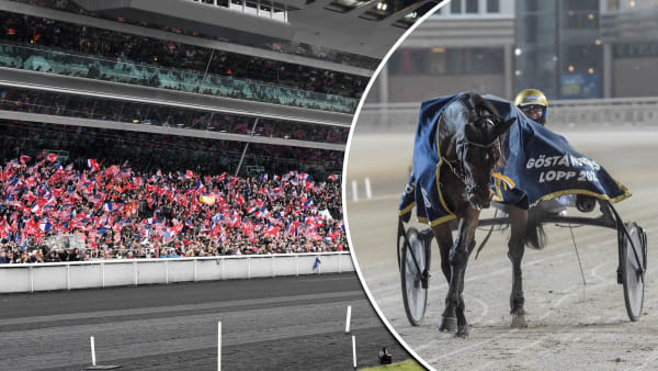 Foto: Lars Jakobsson/TR Bild/Montage