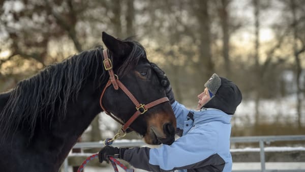 Foto: LARS JAKOBSSON/TR BILD