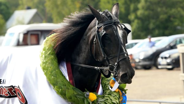 Foto: GIRLPOWER HB