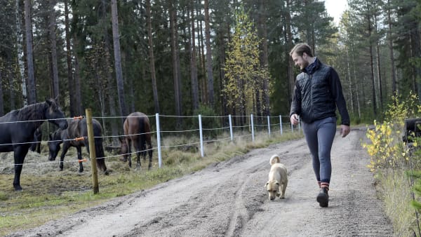 Foto: LARS JAKOBSSON / TR BILD