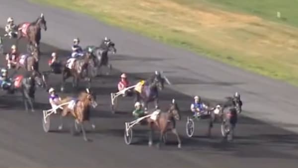 Foto: The Meadowlands / Youtube