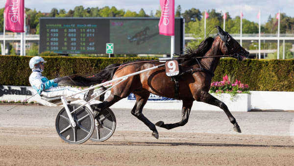 Foto: LENA EMMOTH / TR BILD