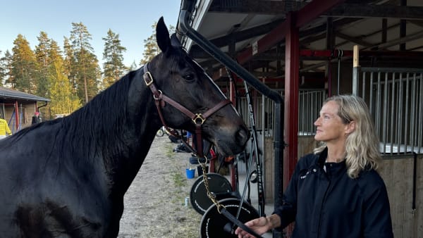Foto: Emil Persson/TR Bild.