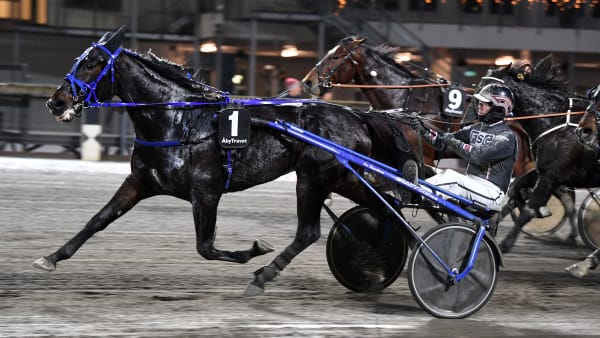 Foto: MALIN ALBINSSON / TR BILD