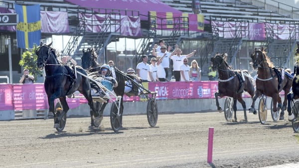 Foto: LARS JAKOBSSON / TR BILD