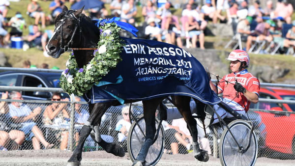 Foto: MALIN ALBINSSON / TR BILD