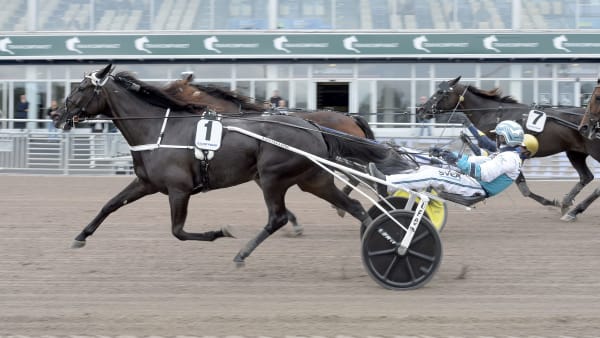 Foto: LARS JAKOBSSON / TR BILD