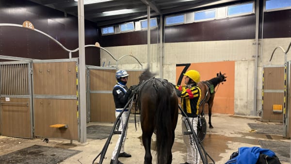 Foto: EMIL PERSSON/TR BILD