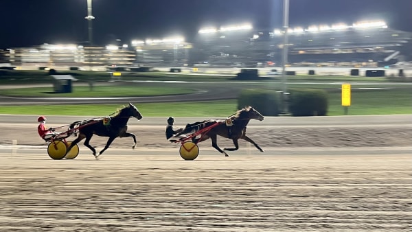 Foto: MATTIAS HOLMGREN/TR BILD