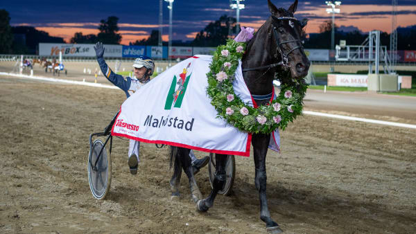 Foto: MIKAEL ROSENQUIST / TR BILD