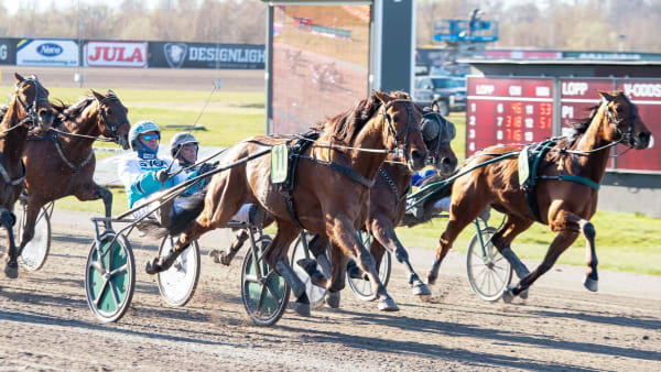 Foto: MIKAEL ROSENQUIST / TR BILD