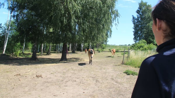 Foto: JOSEFIN JOHANSSON/ TR BILD