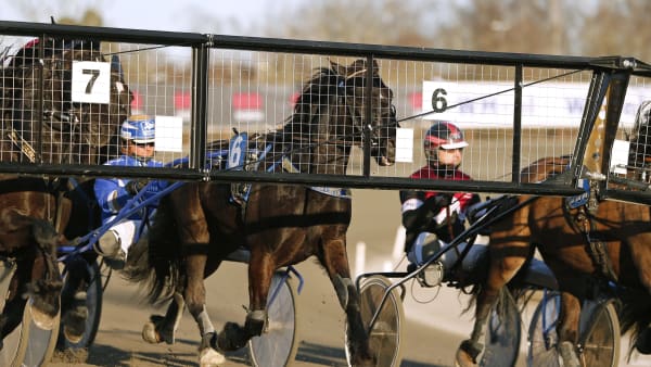 Foto: MARIA HOLMÉN / TR BILD