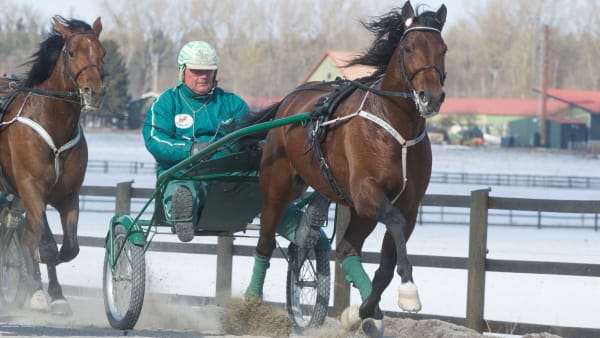 Foto: THOMAS BLOMQVIST / TR BILD