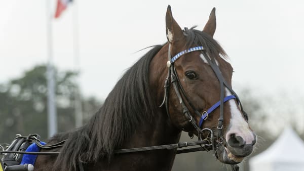Foto: JEAN-LUC LAMAÈRE/TR BILD