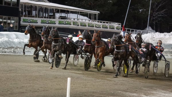 Foto: DAVID SCHREINER / TR BILD