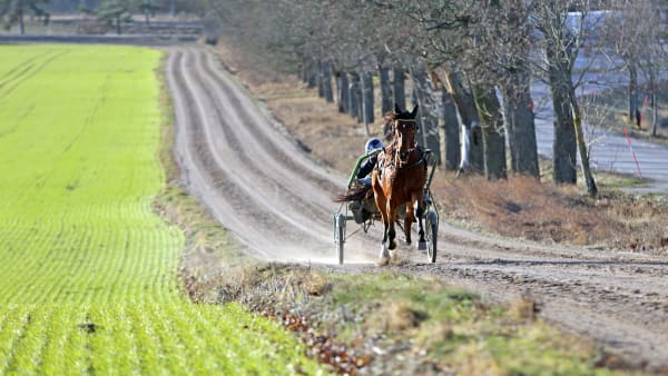 Foto: MATILDA ÖHRMAN / TR BILD