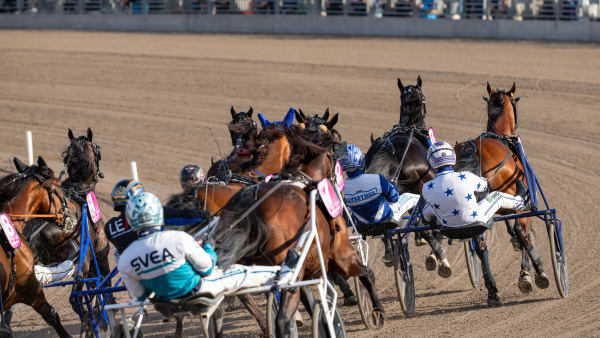 Foto: THOMAS BLOMQVIST / TR BILD