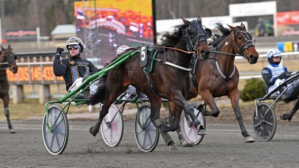 Foto: MALIN ALBINSSON / TR BILD