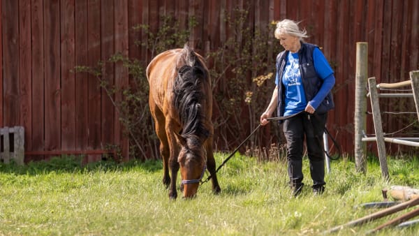 Foto: Thomas Blomqvist/TR Bild