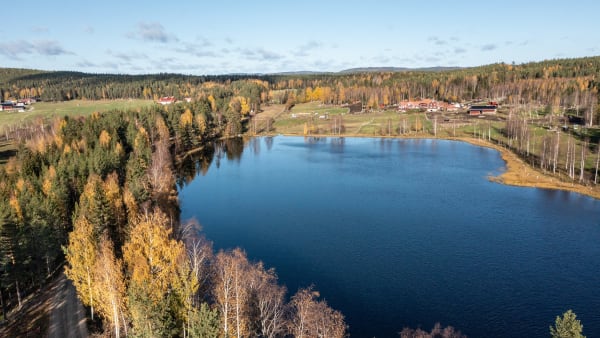 Foto: THOMAS BLOMQVIST / TR BILD